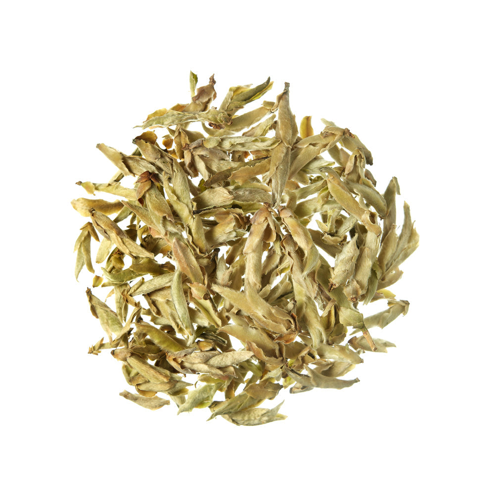 Beli čaj Ya Bao Silver Buds White Tea China - 100 g